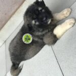 Capital Farms & Kennels