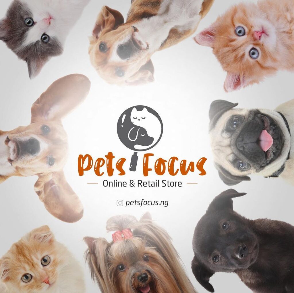 Pets Focus