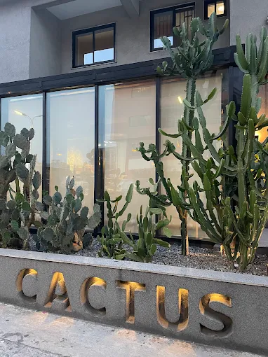 CactusR-2