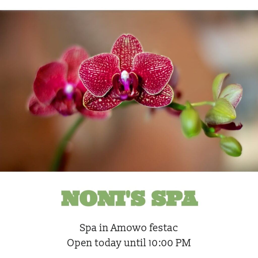 Noni’s Mobile Spa