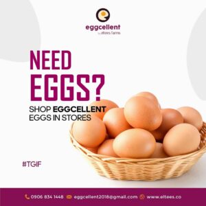 Eggcellent BY ELTEES FARM