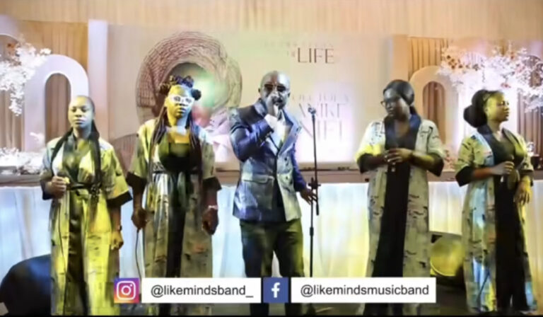Like Minds Band (Live Band)