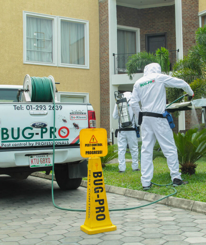 Bug-pro-nigeria-1