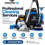 SparklynnPro Cleaning