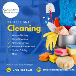 Buliz All-Around Town Services