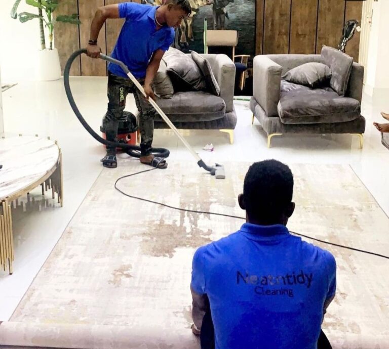 NeatnTidy Cleaning Services